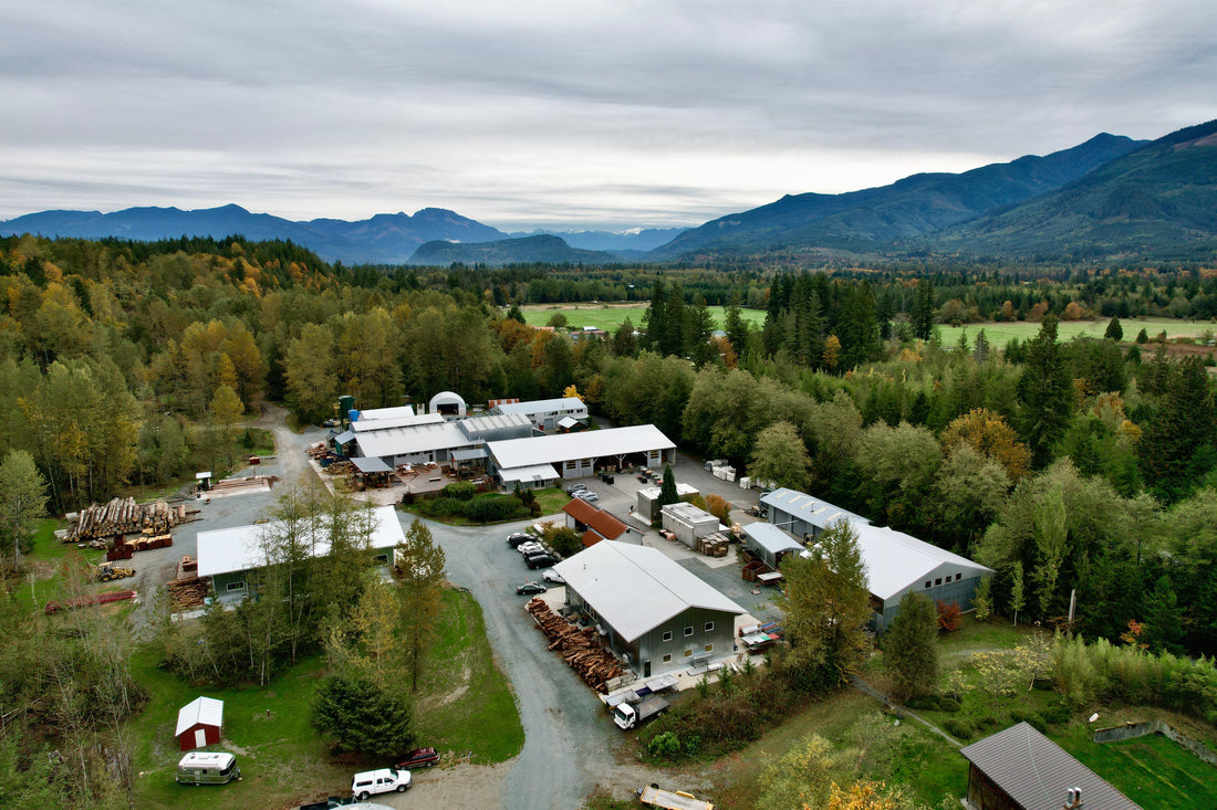 Pacific Rim Tonewoods: Where Guitars Start Their Journey
