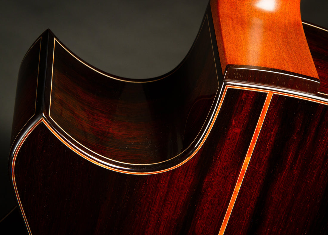 Builder Spotlight - Bashkin Guitars