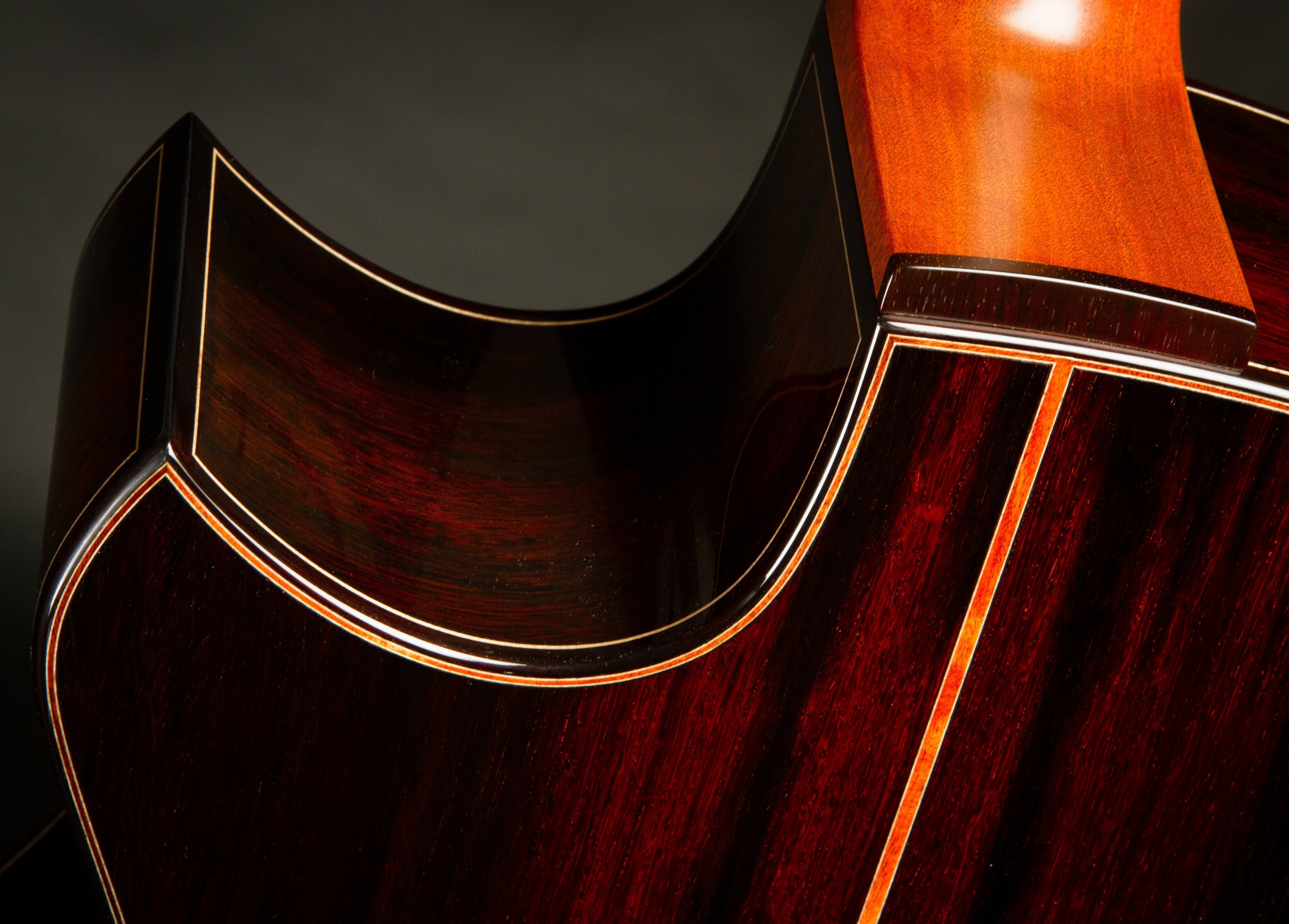 Builder Spotlight - Bashkin Guitars