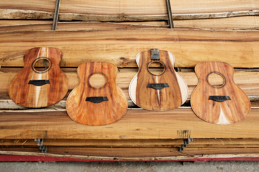 The Guitar – Tracing the Grain Back to the Tree