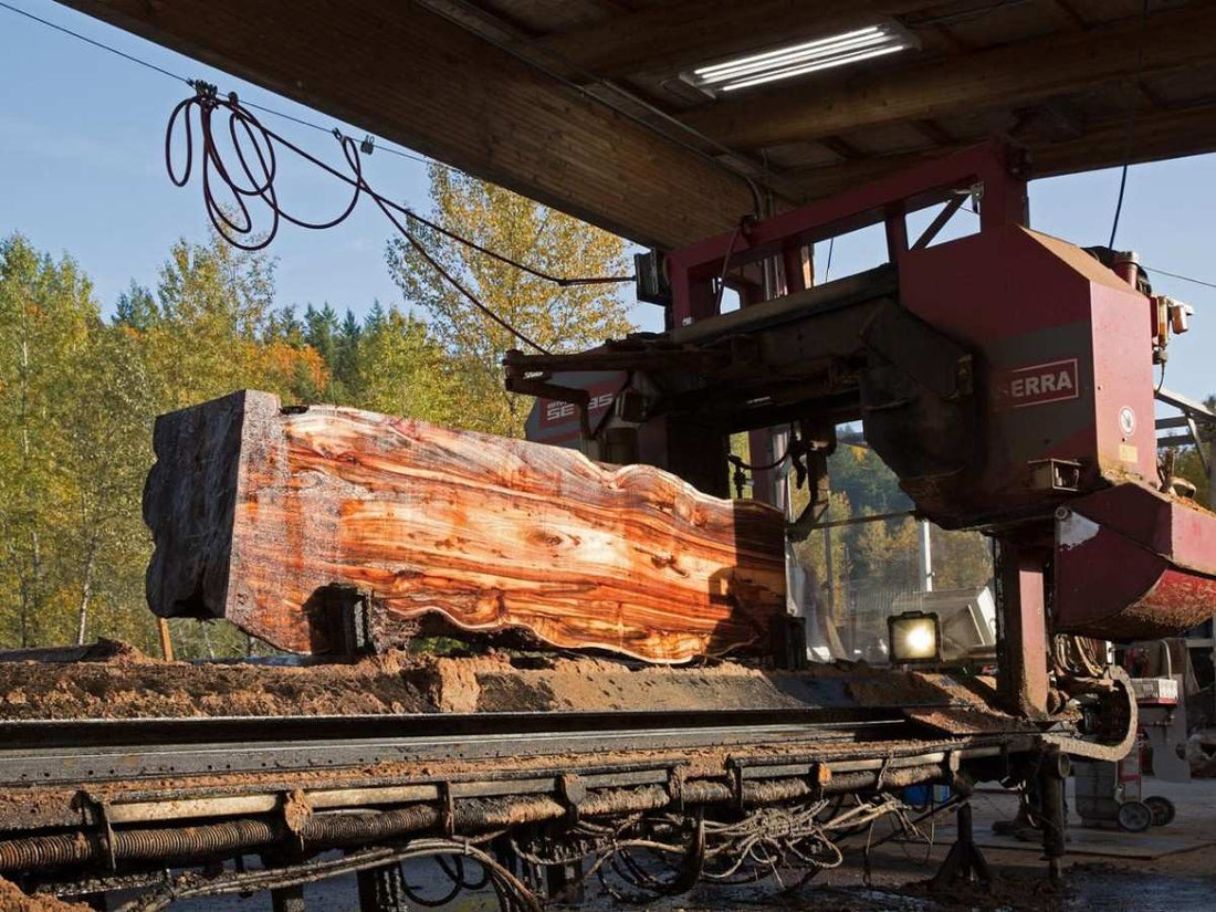 Advancing Wood Processing Through Automation and 3D Printing