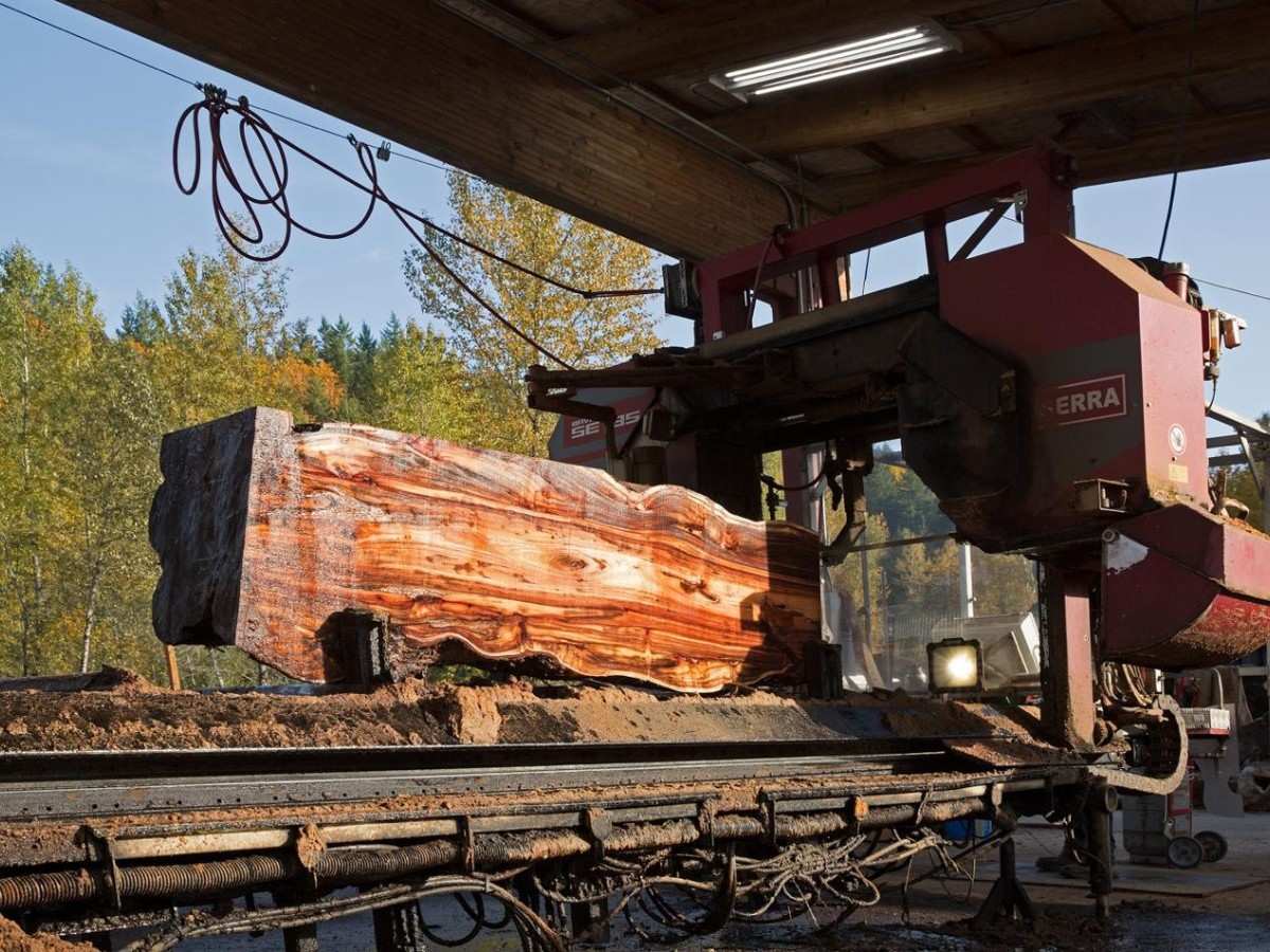 Advancing Wood Processing Through Automation and 3D Printing