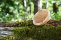Maple Bowl Cores