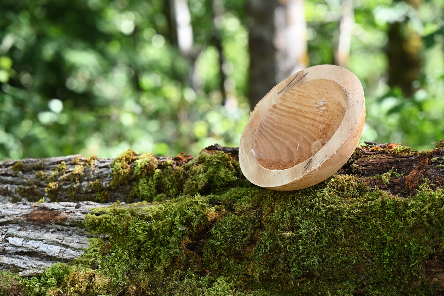 Maple Bowl Cores