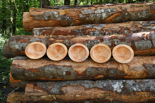 Alder Bowl Cores