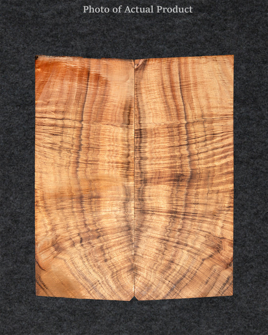 Electric Special Koa 10