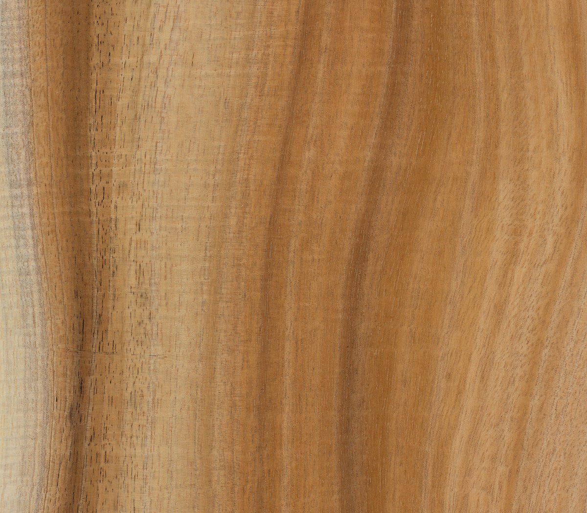 This is a close-up of a smooth koa tonewood surface with natural grain patterns. Warm brown tones create a rustic, earthy feel, and subtle texture and varying shades add depth.