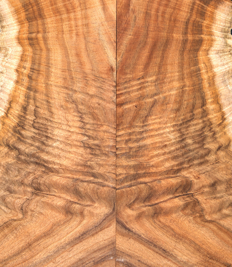 Bookmatched koa electric guitar top with dramatic curl and rich golden-brown hues. Perfect for custom high-end electric guitars.