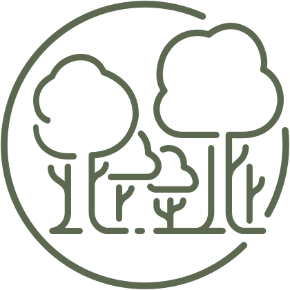 Icon of a Koa tree and seeds.