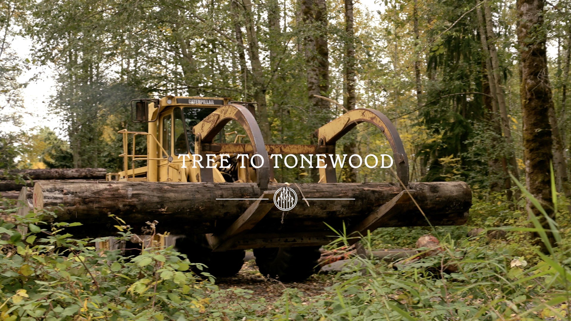 A yellow Caterpillar log loader grips a large tree trunk, overlaid with "Tree to Tonewood" text.