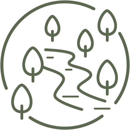Icon of a winding trail through a forest, symbolizing reforestation and planting initiatives.