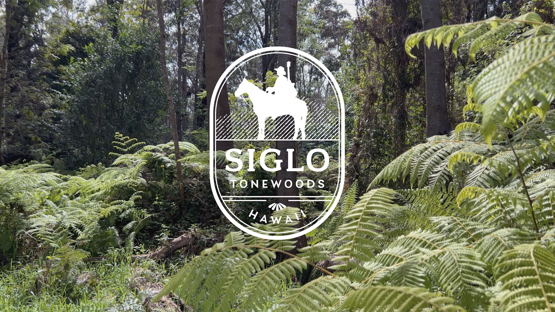 Lush Hawaiian forest with ferns and tall trees, overlaid with the Siglo Tonewoods logo.