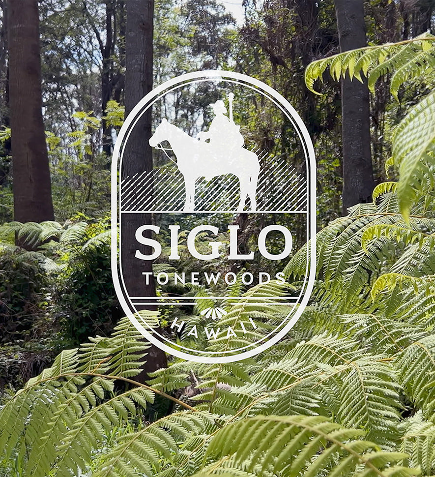 Lush Hawaiian forest with ferns and tall trees, overlaid with the Siglo Tonewoods logo.