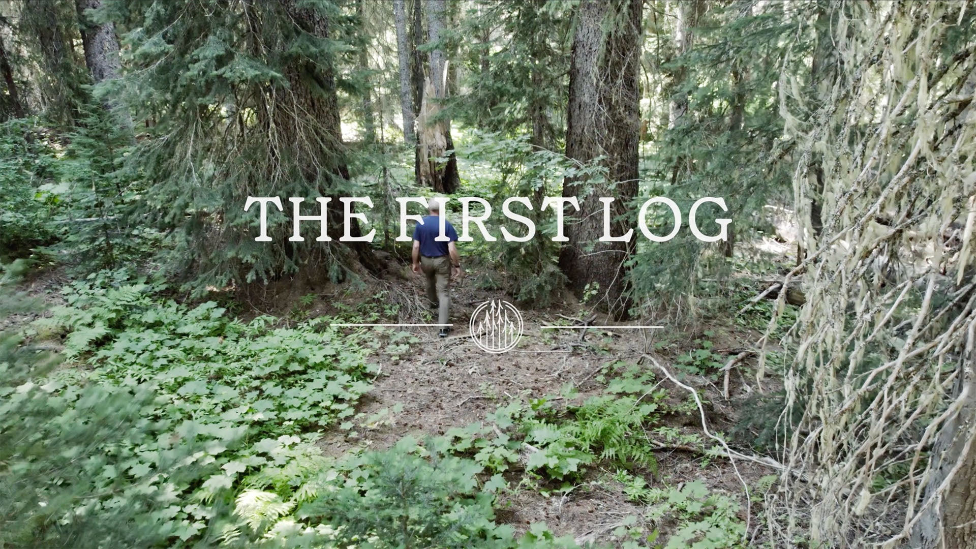 A person walks into a dense forest, surrounded by towering trees and ferns, with "THE FIRST LOG" overlaid on the image.