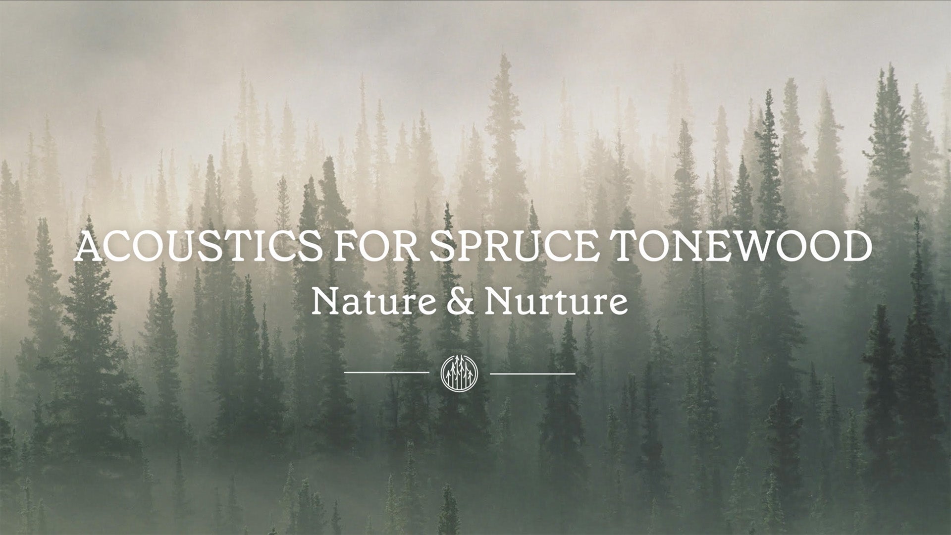 Misty forest of tall spruce trees with overlay text reading "ACOUSTICS FOR SPRUCE TONEWOOD – Nature & Nurture."