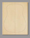 Dreadnought-sized Sitka spruce top offering balanced tonal character and clarity.